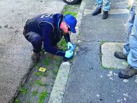 Bocconi avvelenati, a Venafro la task force dei Carabinieri Forestali