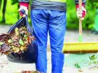 Tirocini formativi nella Valle del Volturno, arrivano i fondi: si parte