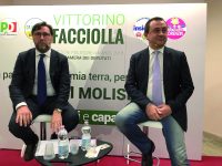 Rosato-Facciolla, patto di ferro per eleggere il ‘sindaco del collegio’