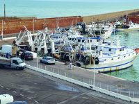 Pesca, associazioni di categoria pronte a mollare gli ormeggi