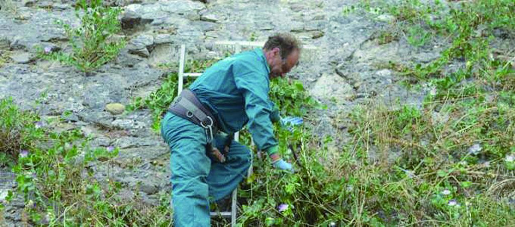 Verde pubblico a Termoli, gara da due milioni di euro