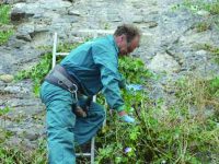 Verde pubblico a Termoli, gara da due milioni di euro