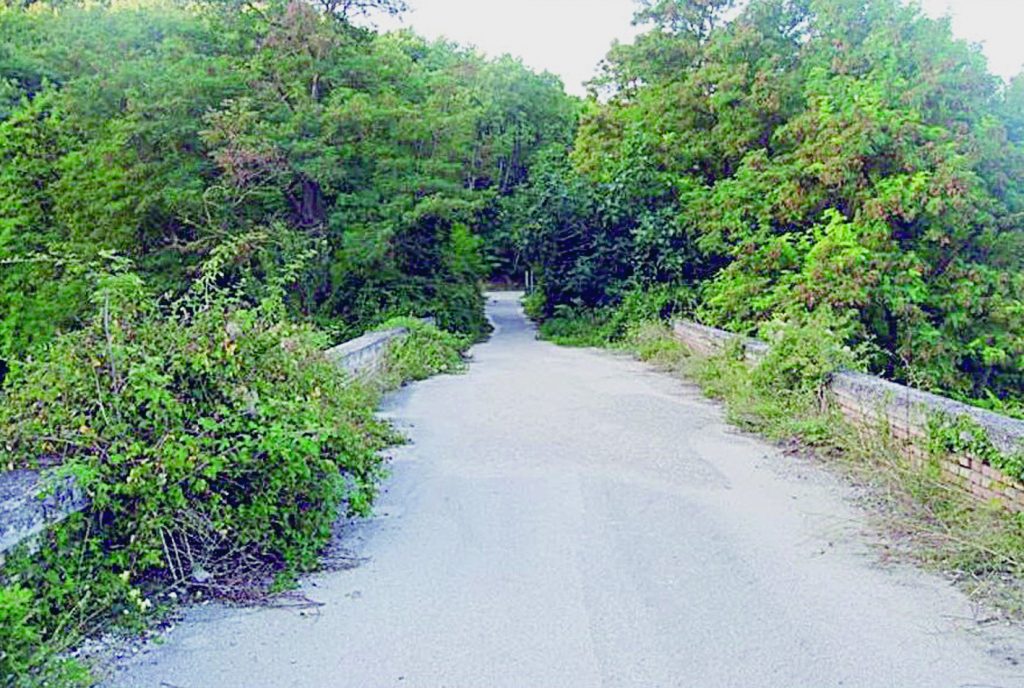 Viabilità al collasso, i cittadini di Salcito sul piede di guerra