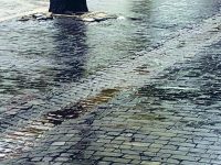 Campobasso, corso Bucci come le strade di Beirut: Gravina insorge