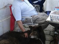 L’ultimo abbraccio a Giuseppe Cima, storico collezionista di Campobasso.