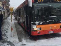 Neve e disagi a Campobasso, autobus fermi e code chilometriche