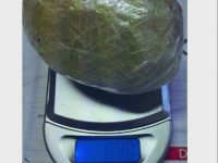 Dominicano in manette, la cocaina era destinata allo spaccio bojanese