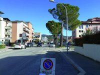 Isernia, il taglio degli alberi in città fa riaccendere il dibattito