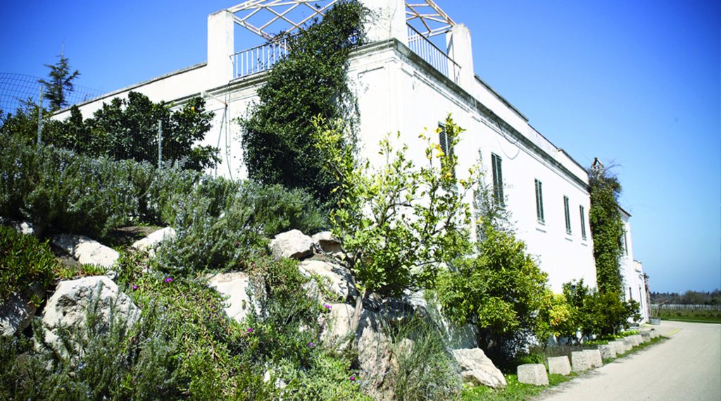 Favorire lo sviluppo etico e sostenibile di tutto il territorio: nasce Tump