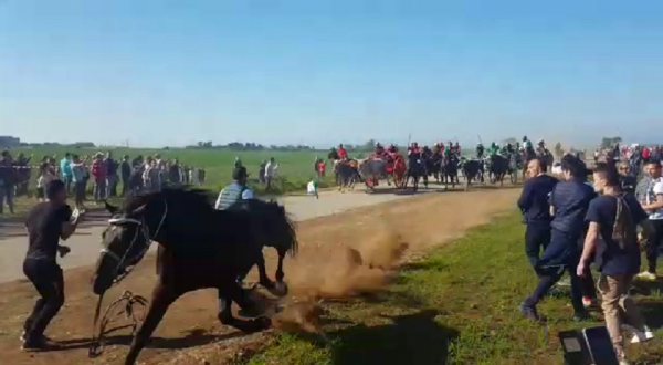 Chieuti, falciato dal cavallo: muore un 78enne