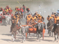 Portocannone, gli animalisti già esultano: niente Carrese