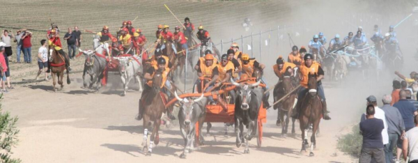 Portocannone, gli animalisti già esultano: niente Carrese