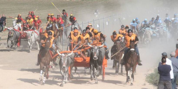 Portocannone, i Carri chiedono il rinvio della Corsa