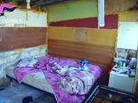 Costrette a prostituirsi sulla statale 16 tra Puglia e Molise