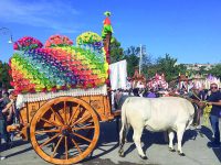 Larino, la magia dei Carri omaggia San Pardo