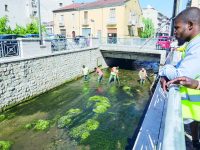Bojano, migranti ripuliscono il fiume Calderari