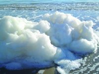 Schiuma bianca a Termoli, l’Arpam: le acque sono balneabili