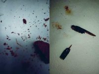 Termoli, insetto stecchito nei biscotti della prima colazione