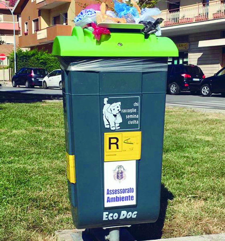 Isernia, deiezioni canine: scelta l’impresa che gestirà il servizio per tre anni