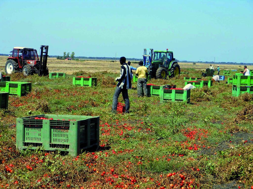 17mila lavoratori in nero, un esercito che costa al fisco 210 milioni all’anno