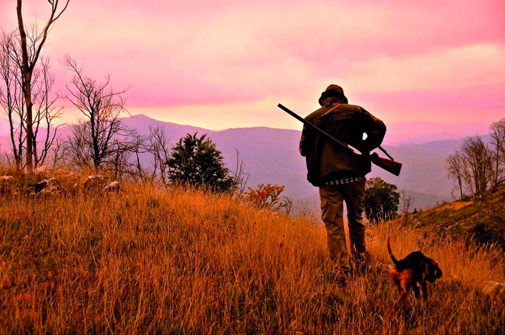 Ok definitivo al calendario venatorio, la preapertura è prevista il 1° settembre