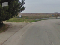 San Giacomo degli Schiavoni, cinghiale carica uno scooter: il centauro finisce in ospedale