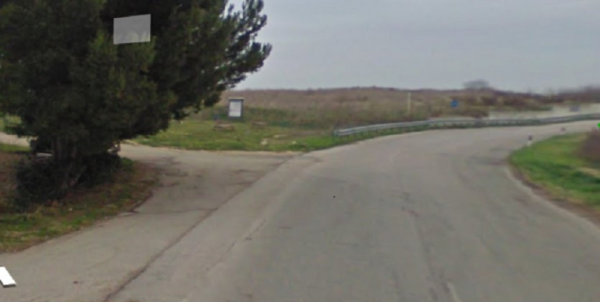 San Giacomo degli Schiavoni, cinghiale carica uno scooter: il centauro finisce in ospedale