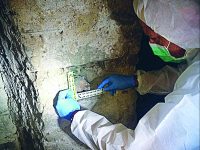 Agnone, rinvenuto un teschio di neonato nell’edificio abbandonato dello Iacp