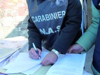 A segno i controlli del Nas: scoperti 3 dentisti abusivi a Campobasso