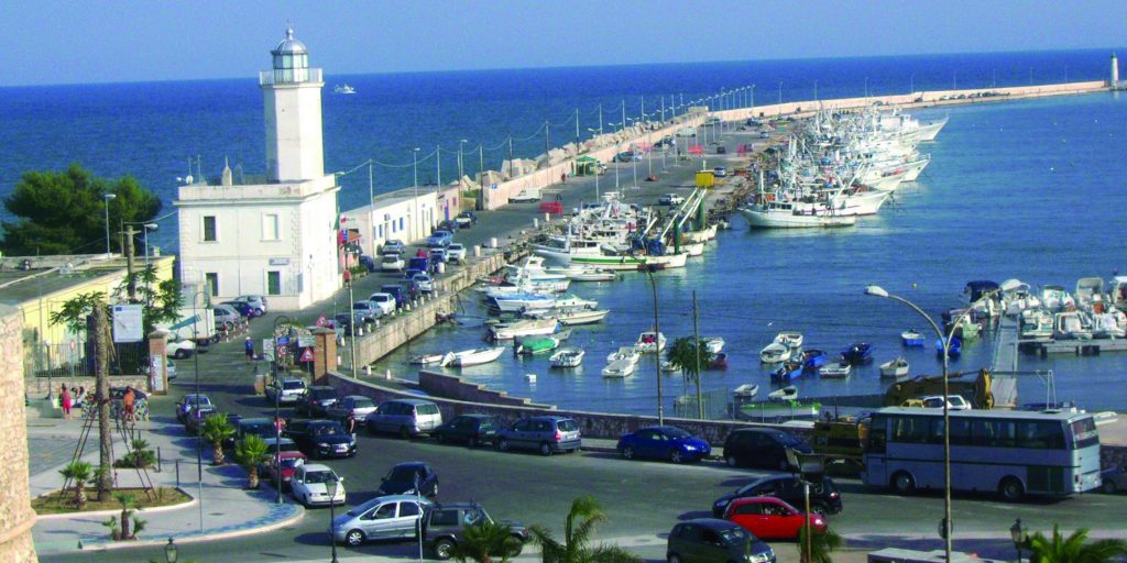 My beautiful picture