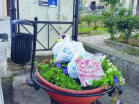 Cestino a pochi passi, rifiuti nella fioriera: sdegno social a Venafro