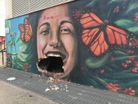 Isernia, distrugge il murale con l’auto e fugge: è caccia all’autore