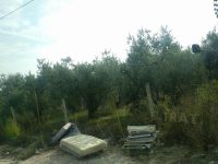 Materassi e ingombranti, a Termoli vince l’inciviltà