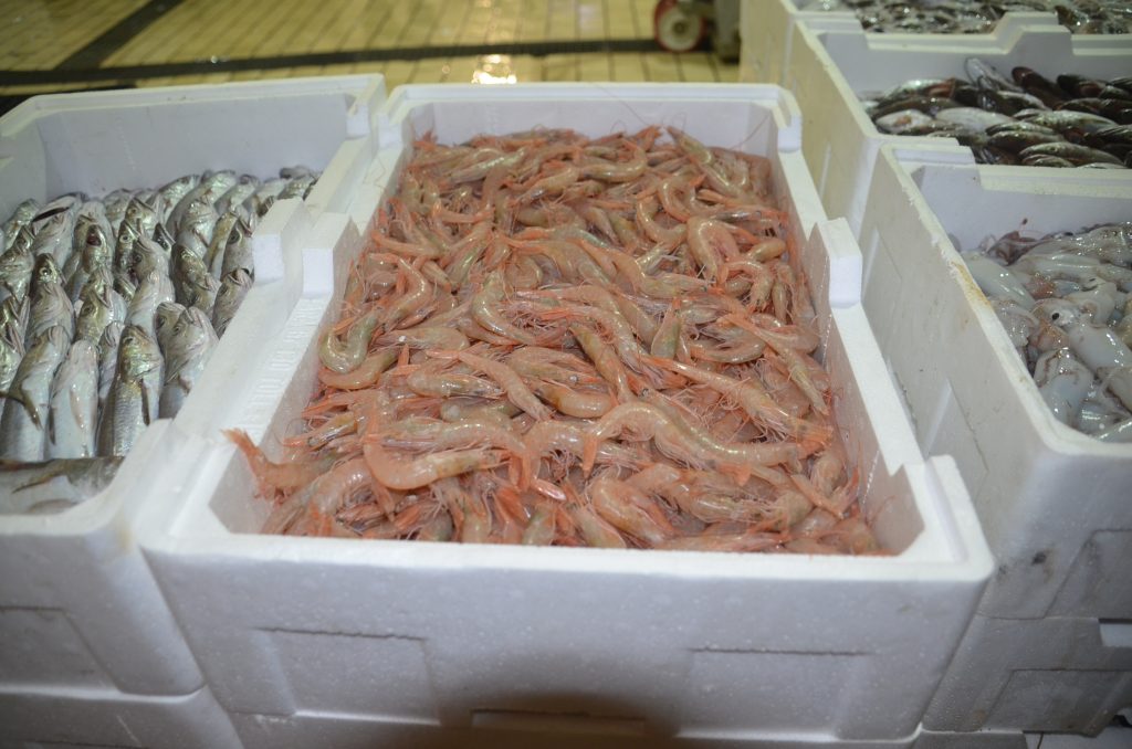 Termoli, filiera ittica al setaccio: sequestri e sanzioni