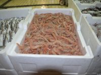 Termoli, filiera ittica al setaccio: sequestri e sanzioni