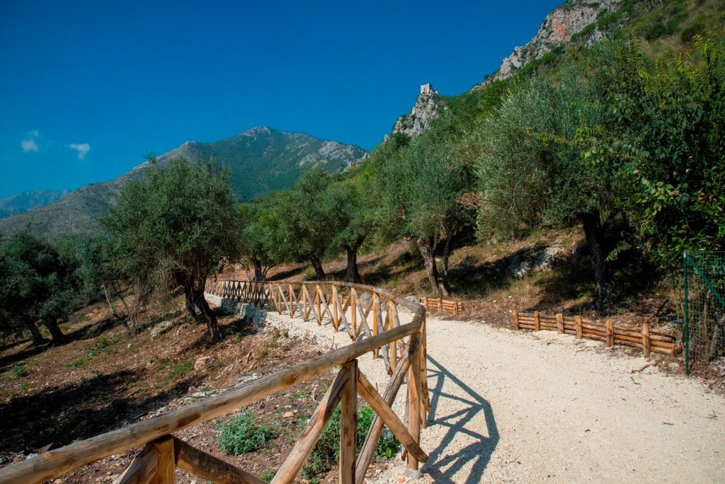 Camminata tra gli olivi a Venafro, definito il programma