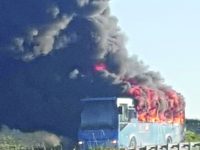 In fiamme l’autobus degli studenti sulla SS 87, tutti salvi grazie all’autista