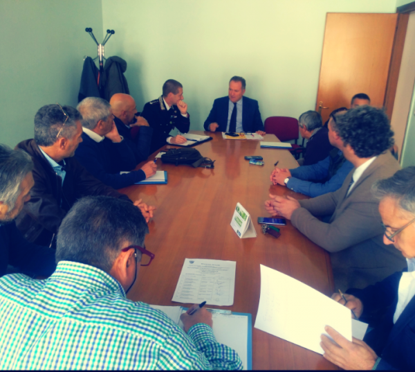 Emergenza cinghiali, Cavaliere: pronti a misure eccezionali