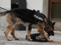 Portava a Isernia un chilo di marijuana: nigeriana arrestata