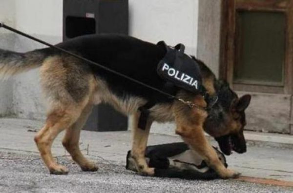 Portava a Isernia un chilo di marijuana: nigeriana arrestata