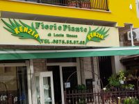 Campomarino, si presenta dalla fioriaia e la rapina con lo spray