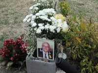 Vandali all’opera su viale Marinai d’Italia a Termoli