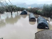 Straripano il Volturno e il San Bartolomeo, ingenti danni nella Piana
