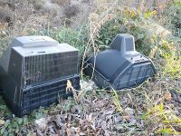 Degrado e incuria in città, l’appello dei residenti: «Vogliamo Isernia pulita»