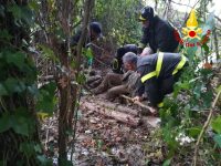 Va a caccia e sprofonda in una palude, anziano di Ferrazzano salvato dai Vigili del fuoco