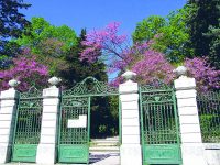 Campobasso, parco inclusivo in Villa de Capoa: c’è l’ok della Giunta