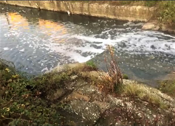 Schiuma bianca nel Rava, Nola: l’Arpa pubblichi subito le analisi