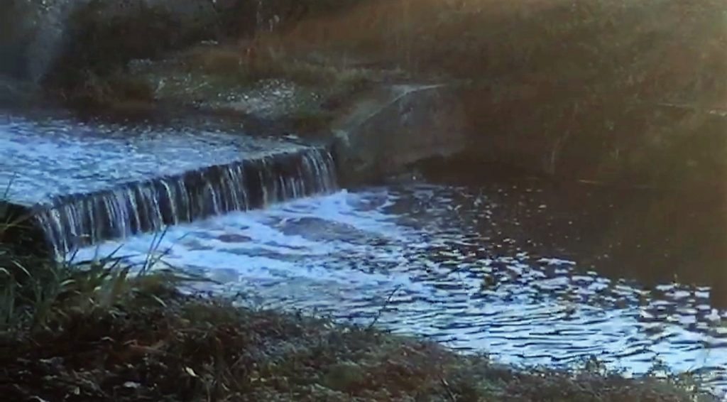 Venafro, ancora scempio nel torrente Rava: all’alba riappare la schiuma bianca