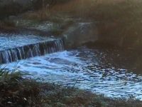 Venafro, ancora scempio nel torrente Rava: all’alba riappare la schiuma bianca