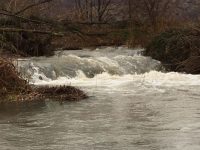 Il fiume Carpino esonda ancora, ma i lavori sono fermi ‘al palo’ da mesi
